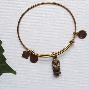 Alex & Ani Owl Charm Bracelet